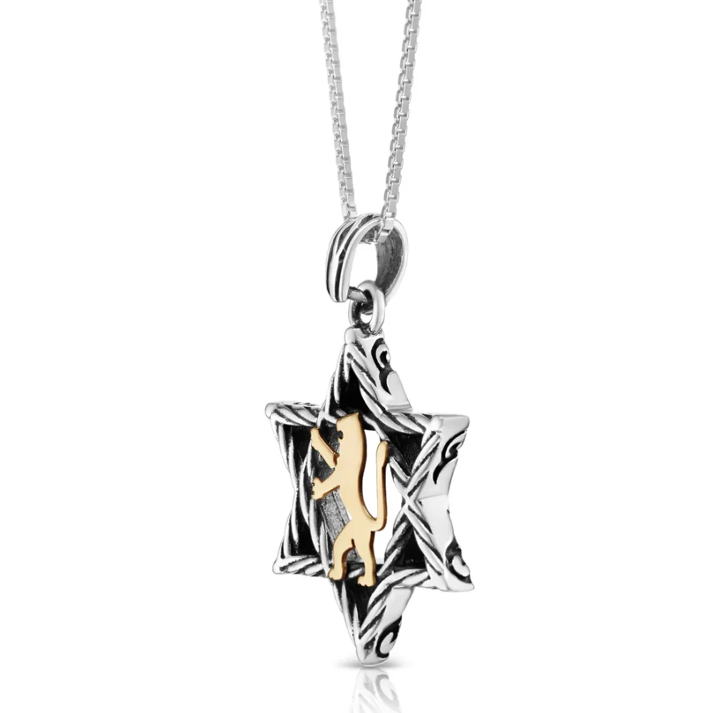 Lion of Judah & Star of David Necklace in 9K Gold and Silver - Image 3