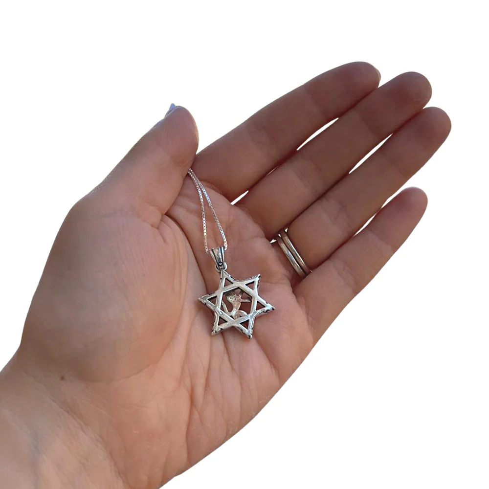 Lion of Judah & Star of David Necklace in 9K Gold and Silver - Image 7