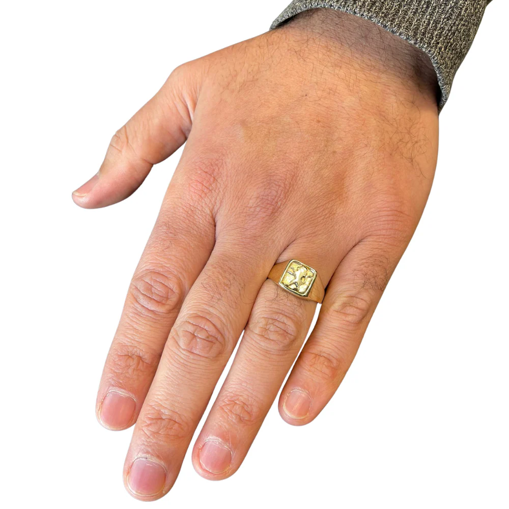 14k Gold Lion of Judah Signet Ring - Image 8